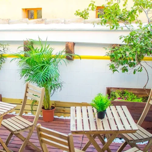 Terraza con plantas